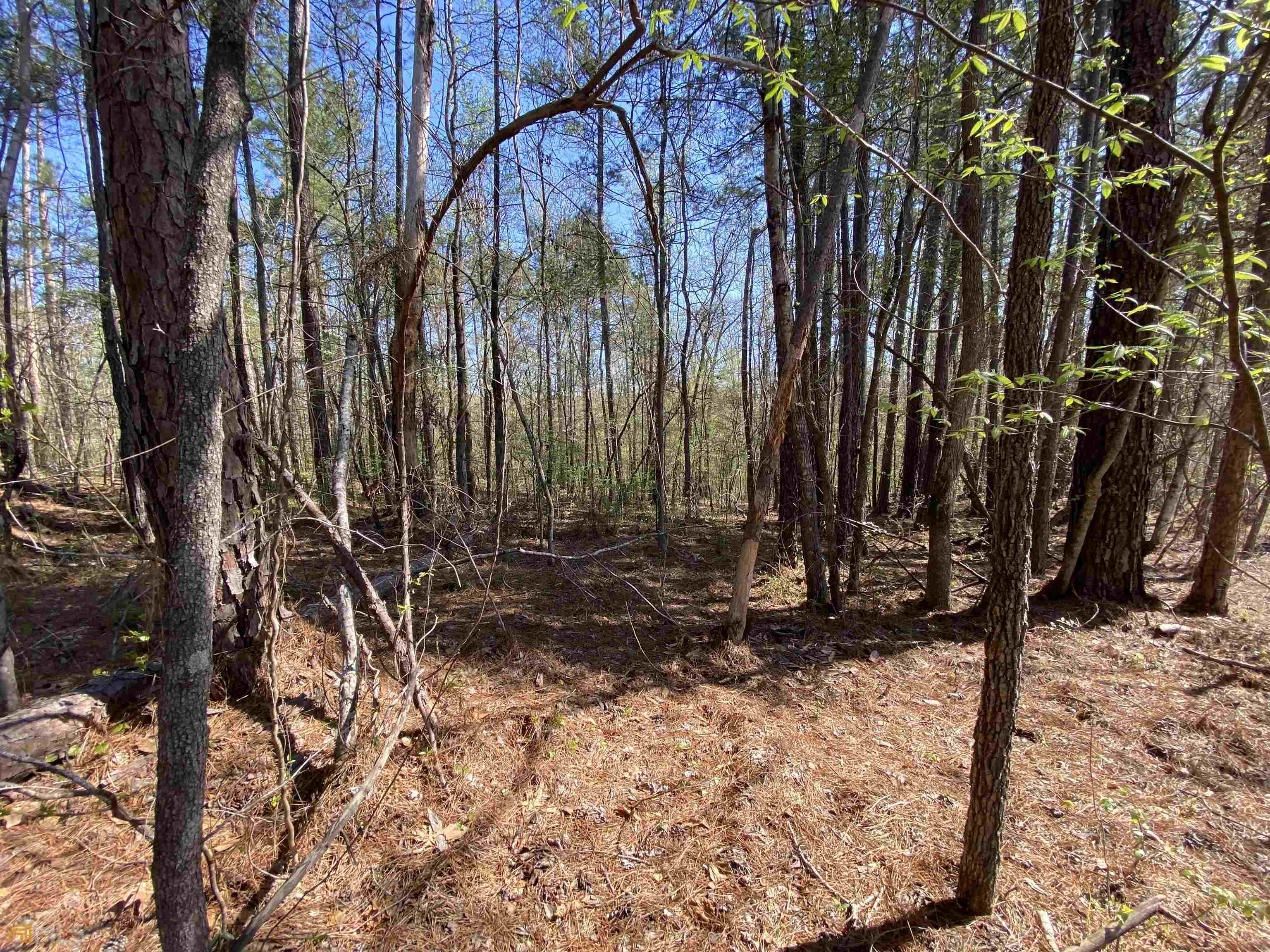 .5 acre deeded lake access lot near the Island Creek area of Lake Sinclair. Community boat ramp less than 5 minutes away. You can be on the water enjoying the lake in no time. Manufactured homes and campers/rvs are allowed. Lot is close to Elmo's East Lake Bar & Grill for all your weekend entertainment and dining needs. No disclosure as sellers have not personally used the lot. Come check it out and be ready to enjoy the East Lake Sinclair life!