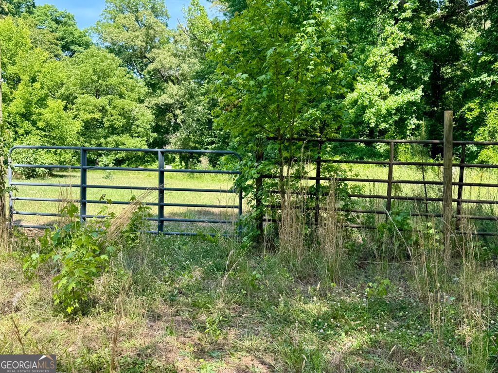 Photo of 1040 White Oak Lane, Greensoboro, GA 30642 (MLS # 10768455)