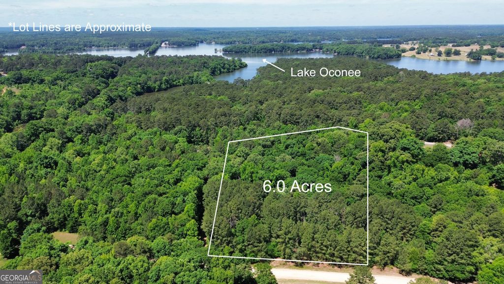 Photo of 1040 White Oak Lane, Greensoboro, GA 30642 (MLS # 10768455)