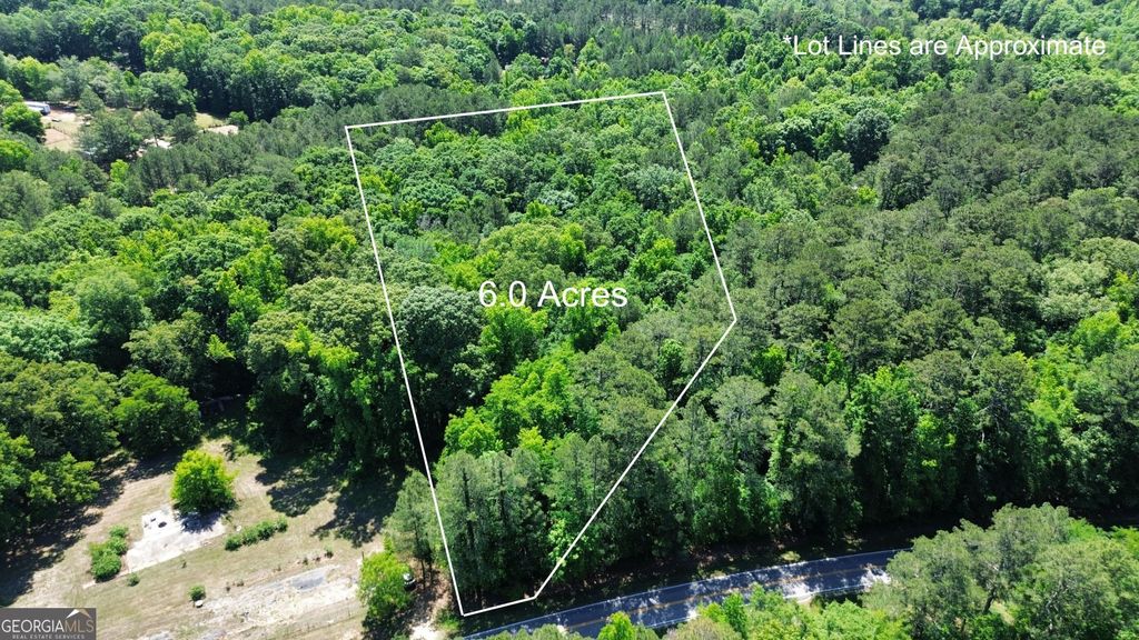 Photo of 1040 White Oak Lane, Greensoboro, GA 30642 (MLS # 10768455)