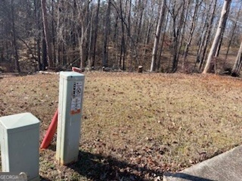 Photo of 225 Standing Oak Place, Fayetteville, GA 30214 (MLS # 10687232)