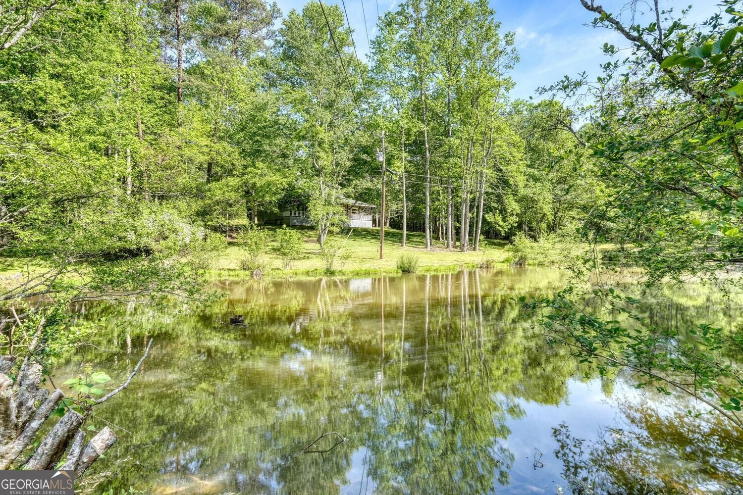 1493 Greasy Creek RD