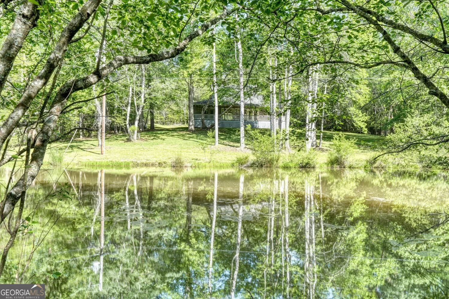 1493 Greasy Creek Road Rd