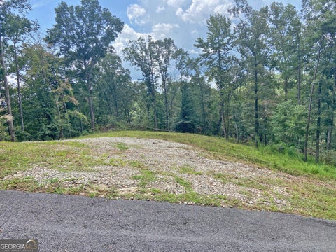 Photo of 33 Trillium Trail, Dahlonega, GA 30533 (MLS # 10826353)