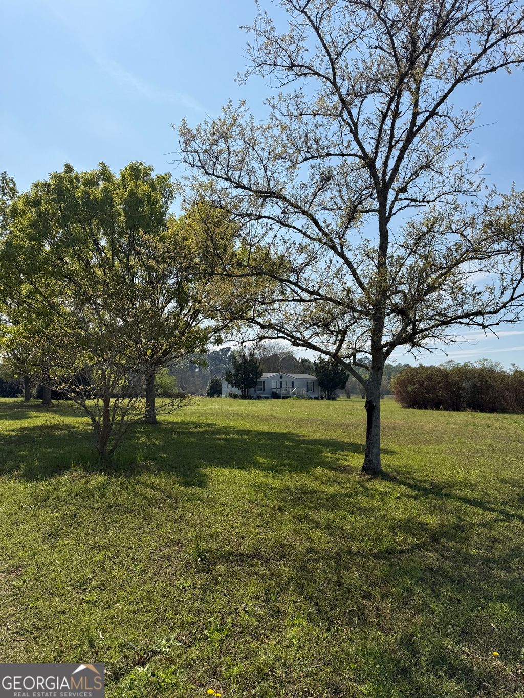 Photo of 102 Folds Road, Pineview, GA 31071 (MLS # 10714995)