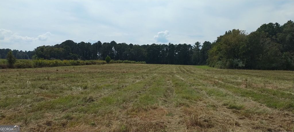 Photo of 102 Folds Road, Pineview, GA 31071 (MLS # 10714995)