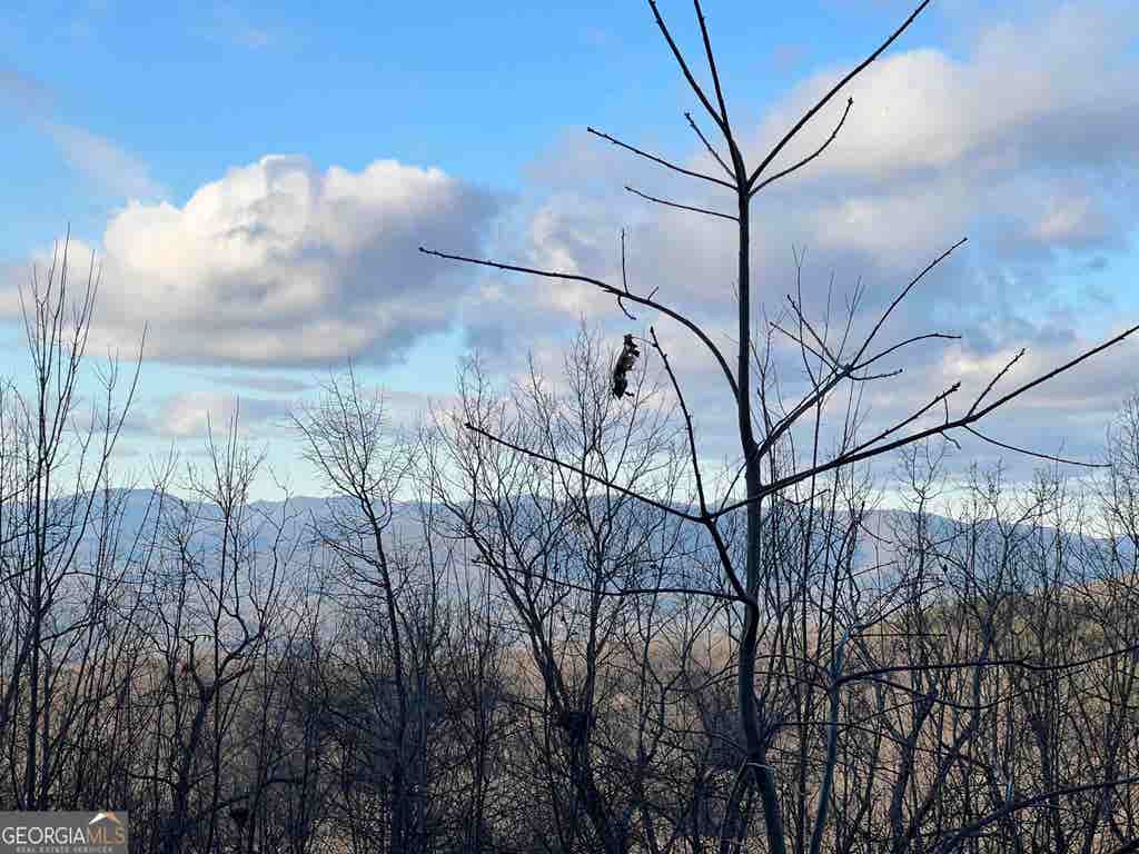 Photo of 0 Daybreak Road, Cleveland, GA 30528 (MLS # 10822384)