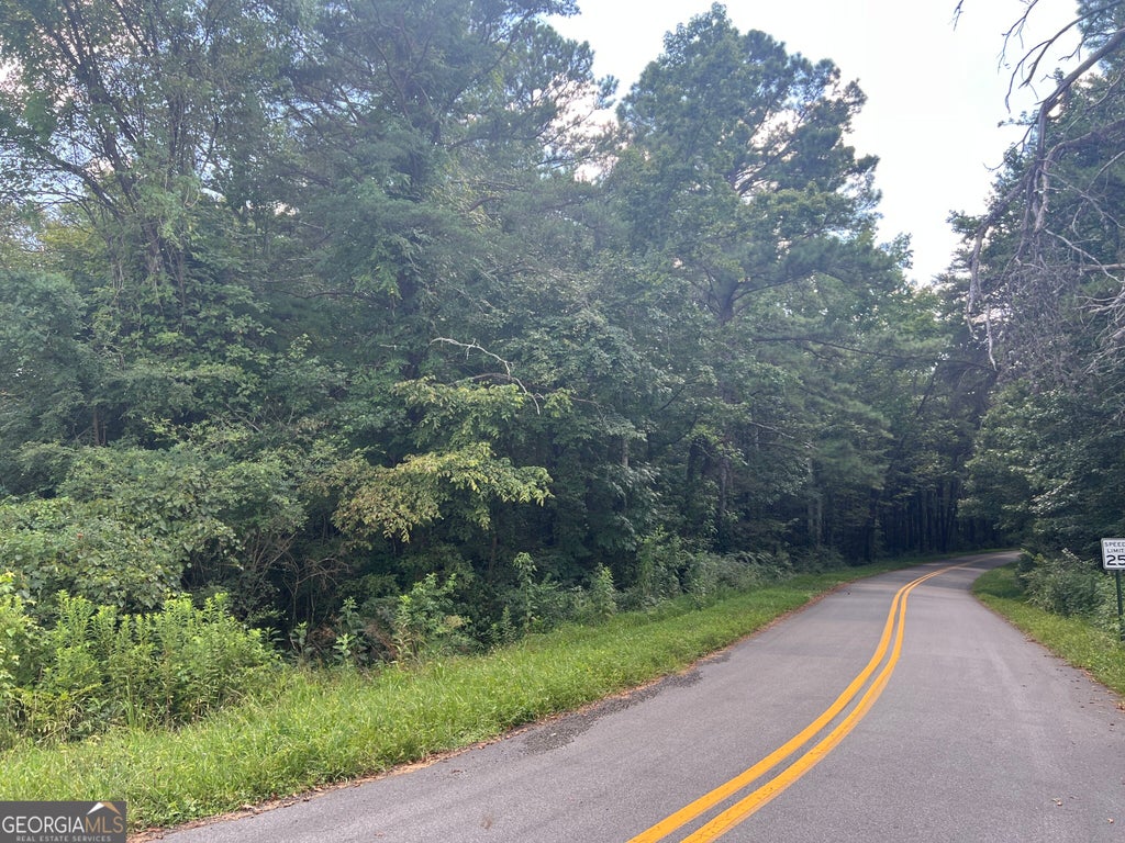 Photo of 0 Highway 411, Rydal, GA 30171 (MLS # 10832236)