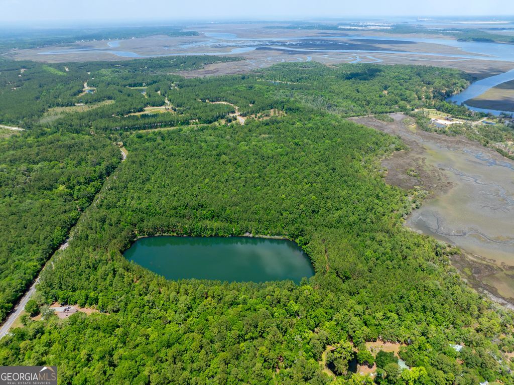 Photo 1 of 11 — 0 21 Acres Dover Bluff RD, Waverly, GA 31565