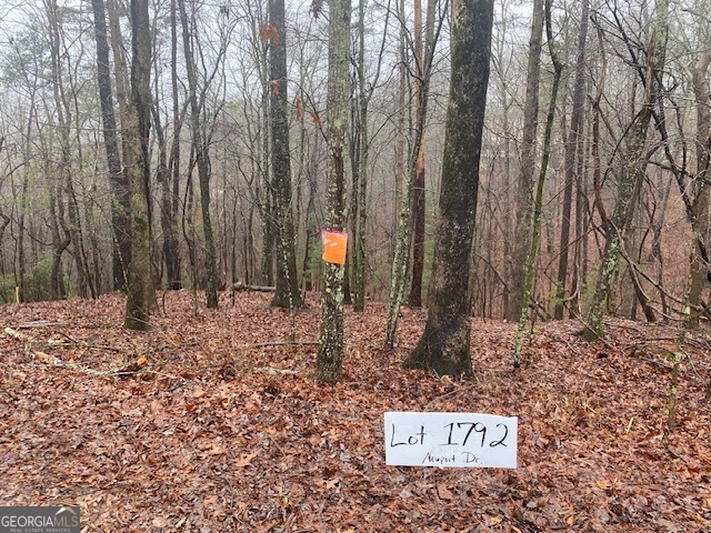 This beautiful lot is all set up for new construction. Ready to build a custom home in Coosawattee River Resort with views of the North Georgia Mountains. Survey completed, septic permit, architectural drawings. structural engineering and Energy Calcs. This style of home is contemporary, including several renewable energy upgrades and features. The lot is located on a paved main road with easy access to everything. Set within the gated Coosawattee River Resort, this lot prvides access to state-of-the-art amenities, including riverfront parks, nature trails, three pools, tennis courts, a game room, a fitness center, and stocked fishing ponds. Wildlife is abundant, and the peaceful mountain setting offers a true escape-all just a few miles from Ellijay. Just a few minutes from Downtown Ellijay for all of your dining and entertainment needs and very close to many Apple Orchards and Wineries!