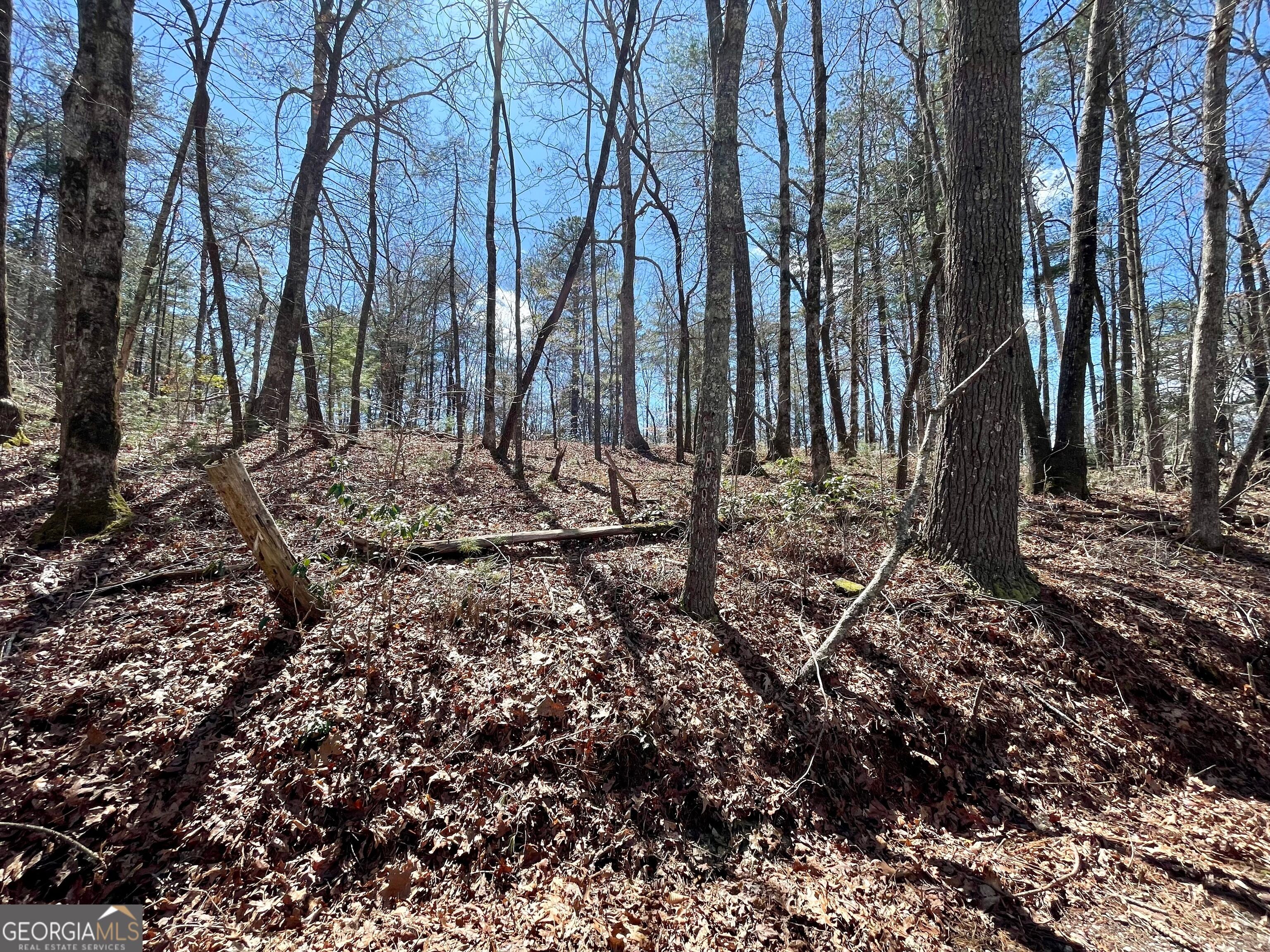 0 Bridge Creek RD