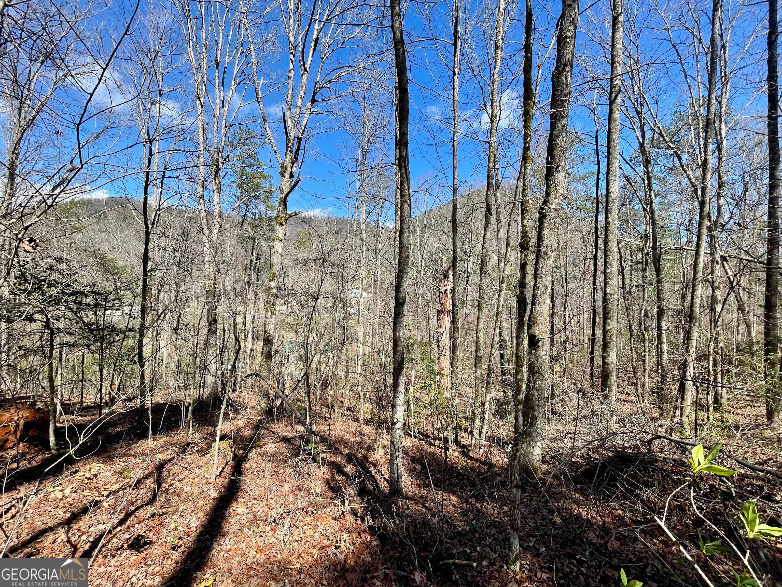 0 Bridge Creek RD