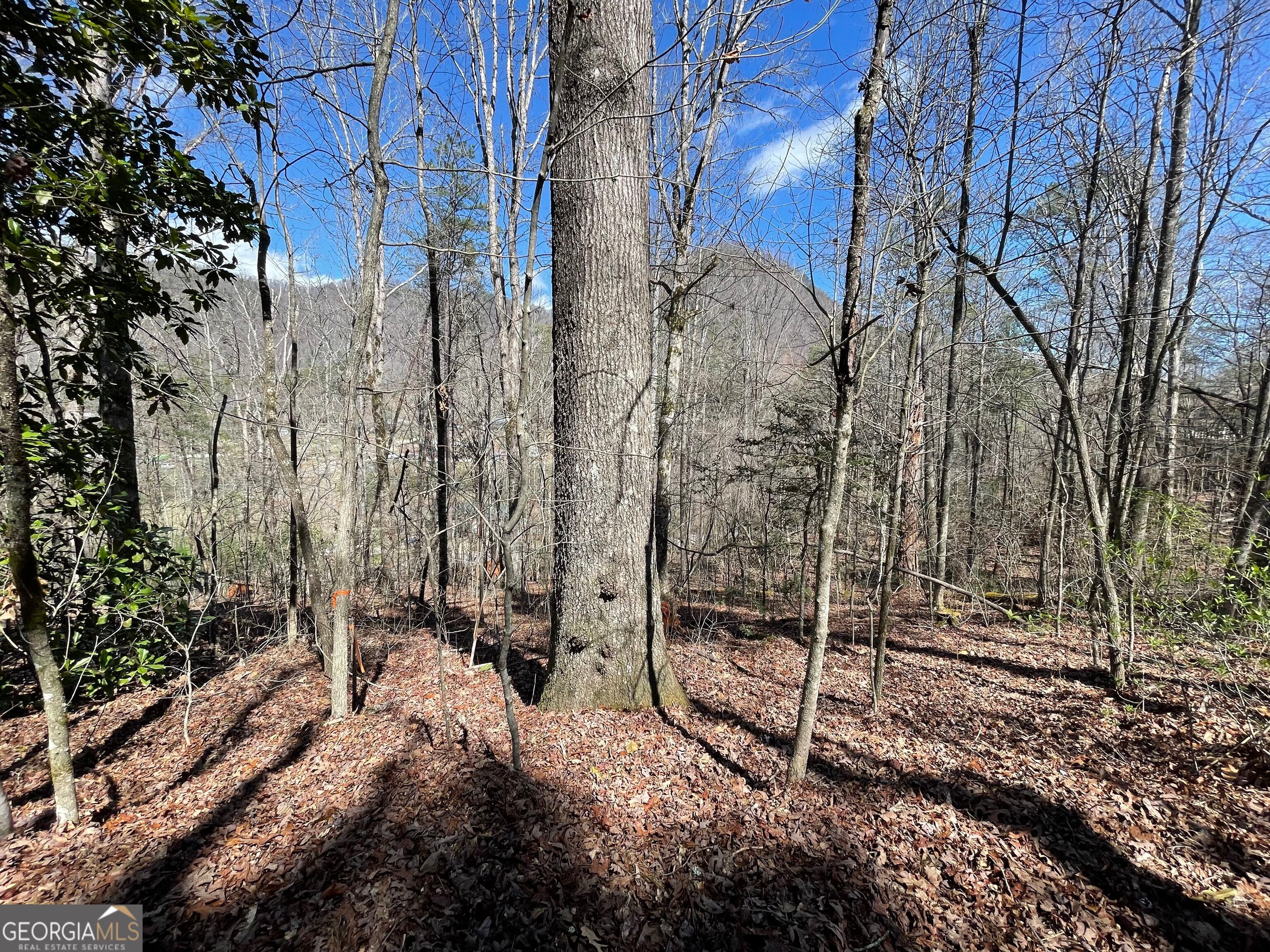 0 Bridge Creek RD