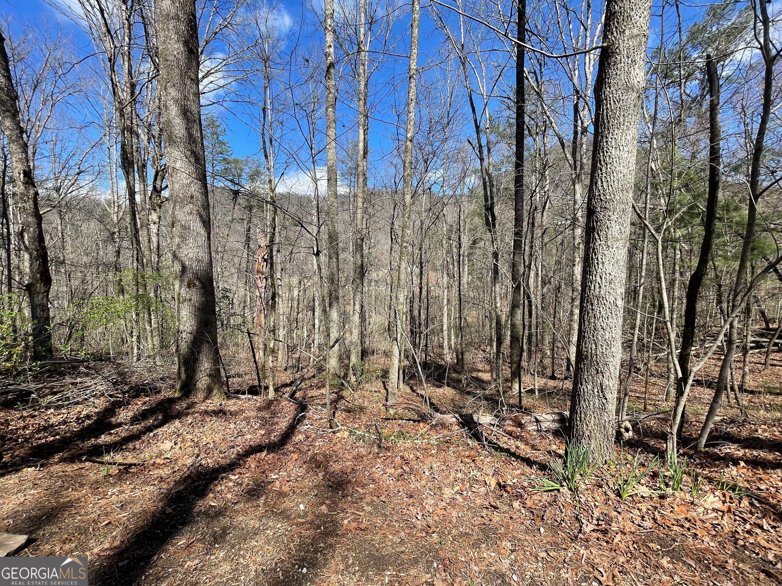 0 Bridge Creek RD