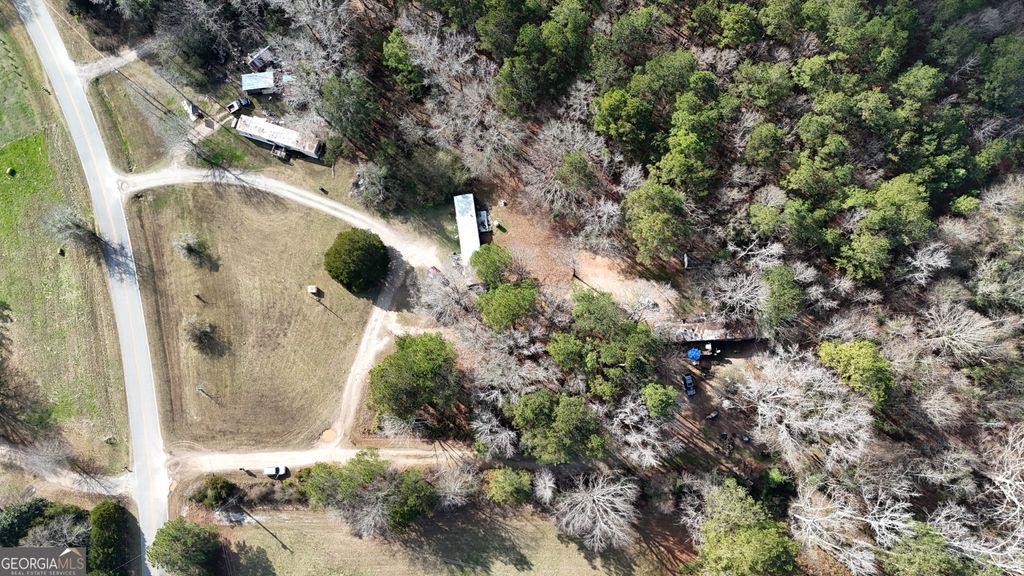 Photo of 1543 Bowden Pond Road, Greensboro, GA 30642 (MLS # 10680755)