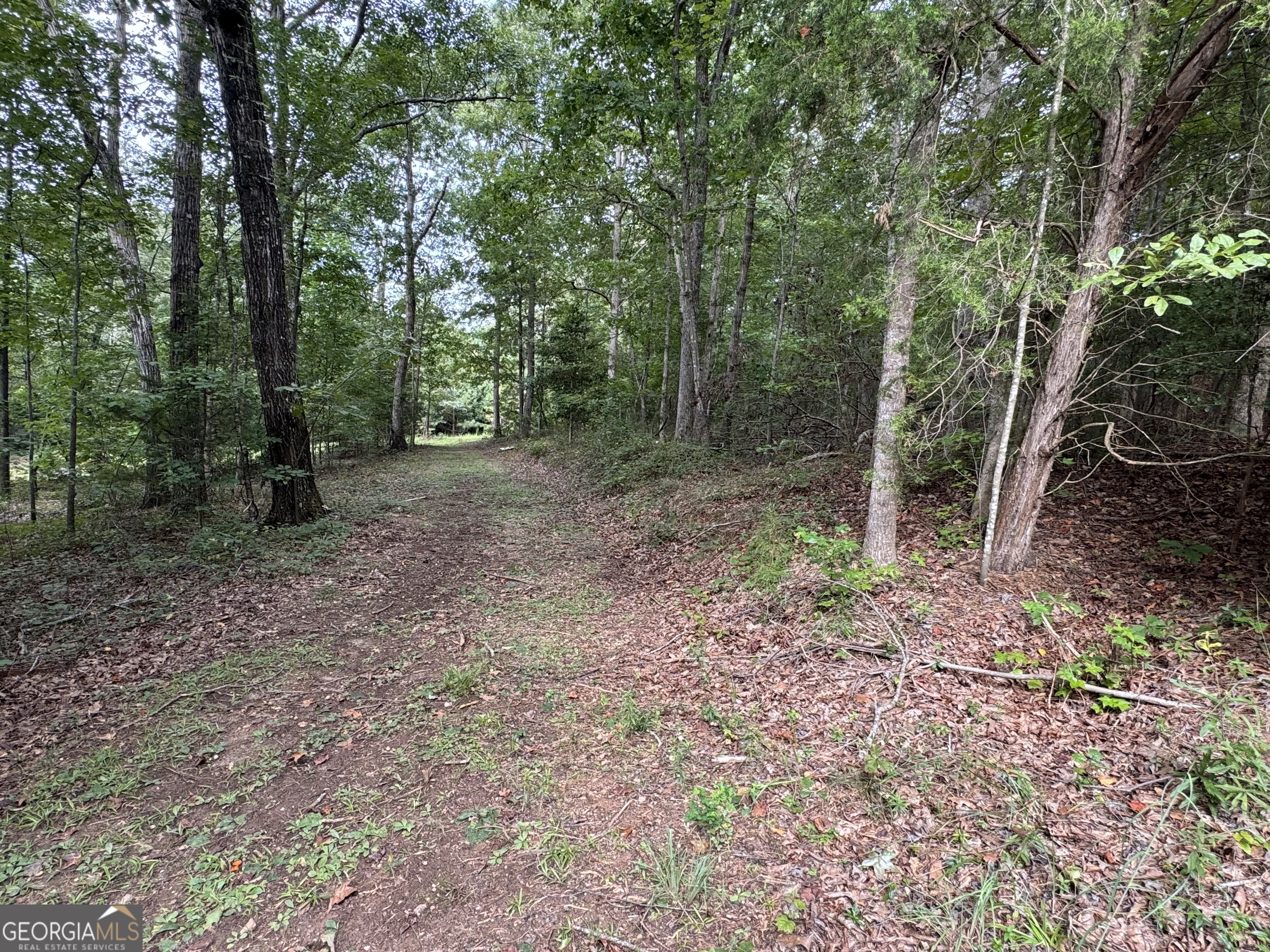 24 Acres of Unrestricted Land - Ready for Your Vision! Discover the possibilities with this 24-acre tract of unrestricted land, offering the freedom to create exactly what you want. Whether you're looking to build your dream home or establish a private retreat this property provides a rare opportunity. Two soil tests already completed, paving the way for easy planning and building. Rolling, usable terrain with multiple potential homesites. No HOA and no restrictions - bring your own plans, ideas, and lifestyle. Ample space for recreation and farming. Conveniently located near I-85, downtown Hartwell yet private enough to enjoy peace and quiet, this acreage combines the best of accessibility and seclusion. Don't miss this chance to own a versatile piece of land with proven buildability!