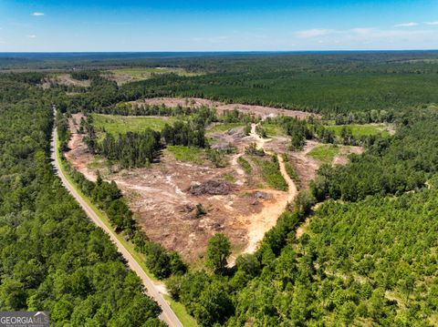 0 Long Branch RD Toomsboro GA 31090