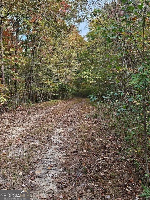 Photo of 0 Fruit Farm Road, Summerville, GA 30747 (MLS # 10669051)