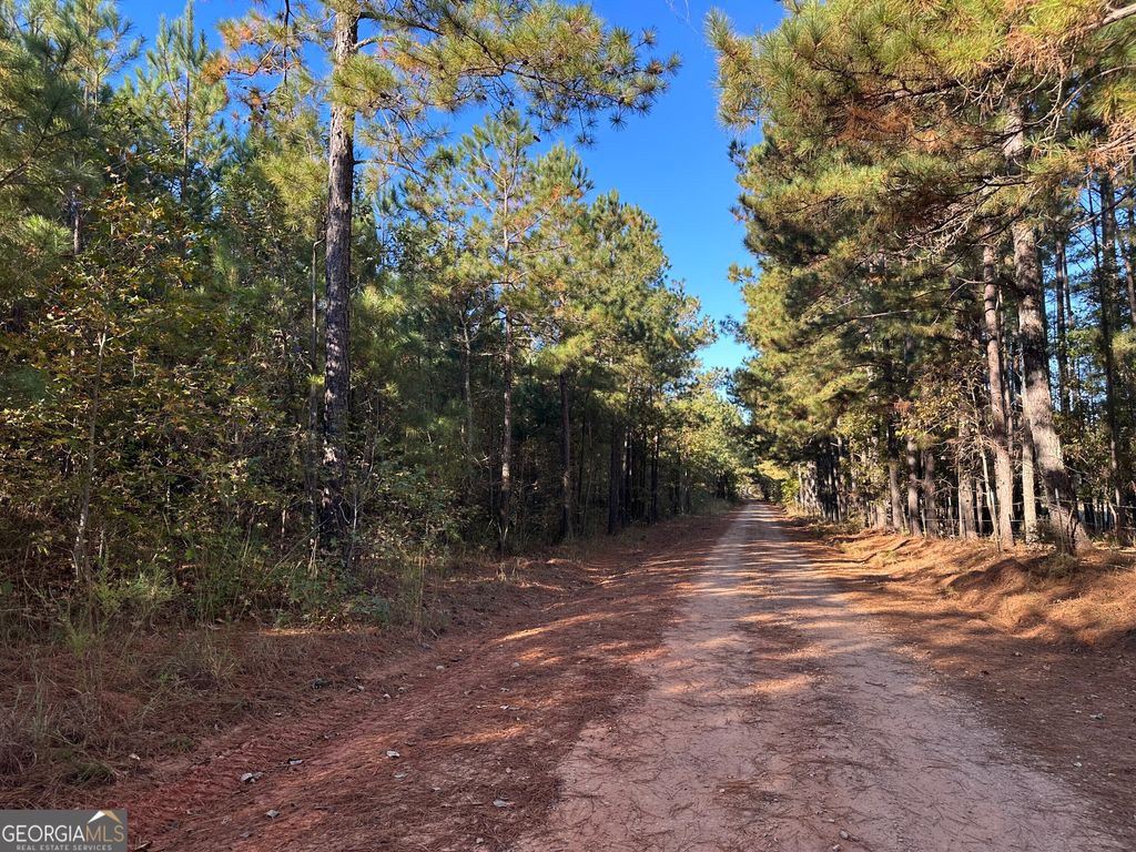 Photo of 400 Duckpond, Lexington, GA 30648 (MLS # 10632550)