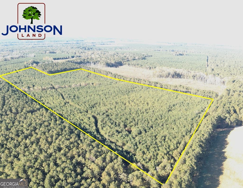 Photo of 400 Duckpond, Lexington, GA 30648 (MLS # 10632550)