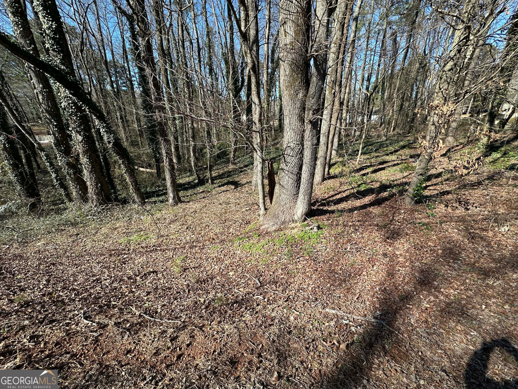 2730 E 166 HWY E
