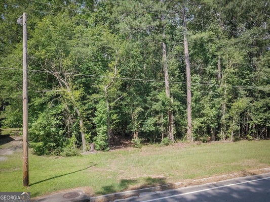 3132 MACEDONIA RD, POWDER SPRINGS, GA 30127 - Image 8f897475e3a2ff2cf0fa83191b6de6cf/1809717440