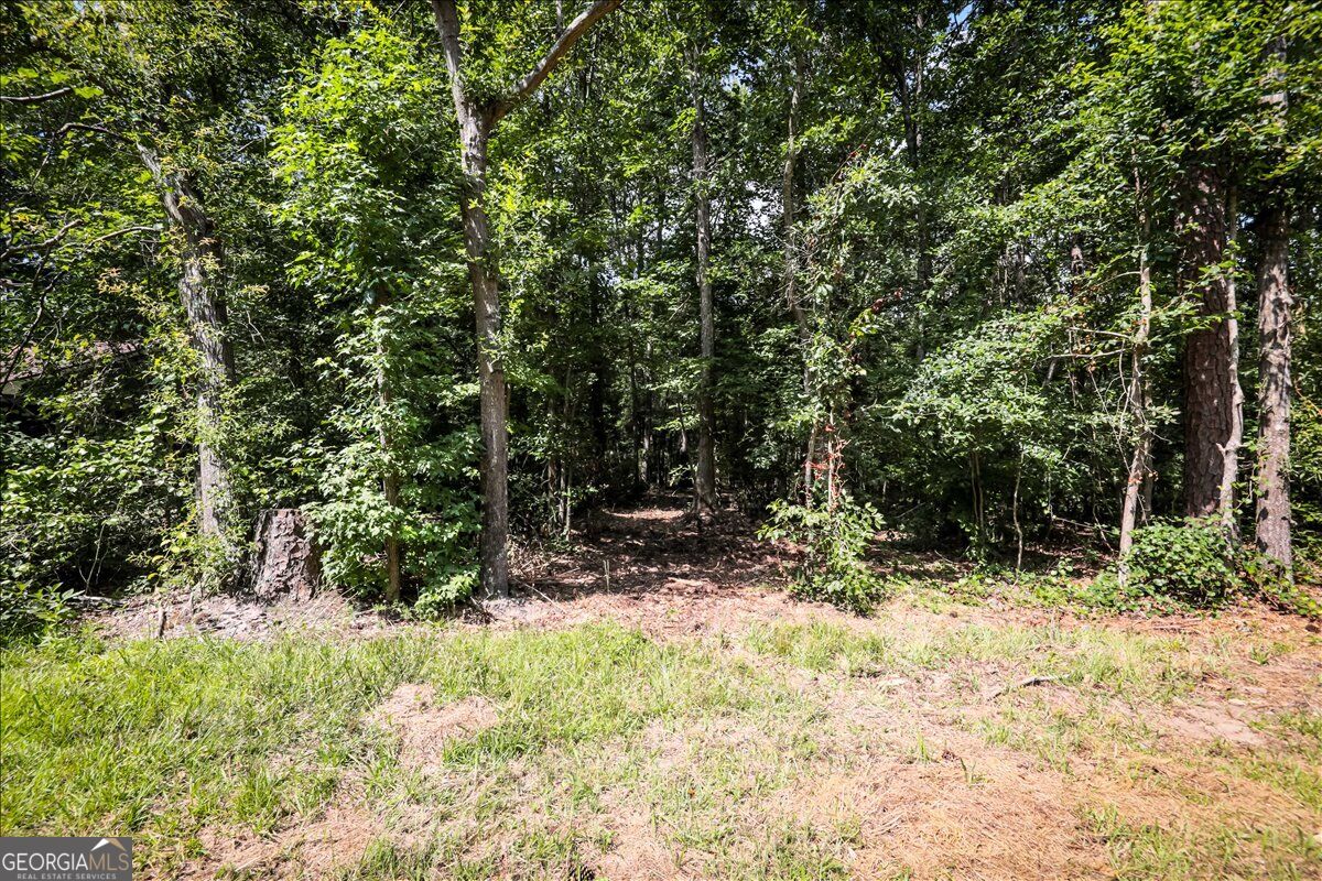 3132 Macedonia RD