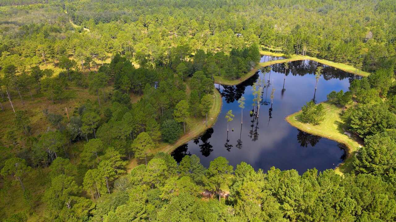 Check out the beautiful Odom Hunting Preserve! Are you looking for a PRIME hunting retreat that consists of 191± acres, a cozy cabin, 10 deer stands, 12 feed plots, and 3 loaded ponds? Look no further! This property has been kept in pristine shape for the past 24 years! Beautiful winding roads throughout this immaculate preserve that offers all the riding trails you could ever want! The ponds are loaded w/ bass and brim. PRIME property for quail, deer, and turkey hunting! The 1 bed / 1 bath cabin could easily sleep 6-8 people and overlooks Lotts Creek w/ plenty of large crappie. The cabin features real hardwood flooring, a screened-in front porch, a full kitchen, a large living room w/ a brick wood-burning fireplace, and a dining area. Additional 75± acres of planted pines that could be leased with the property for $1,500-$2,000 a year. This property has it ALL! Call Today!