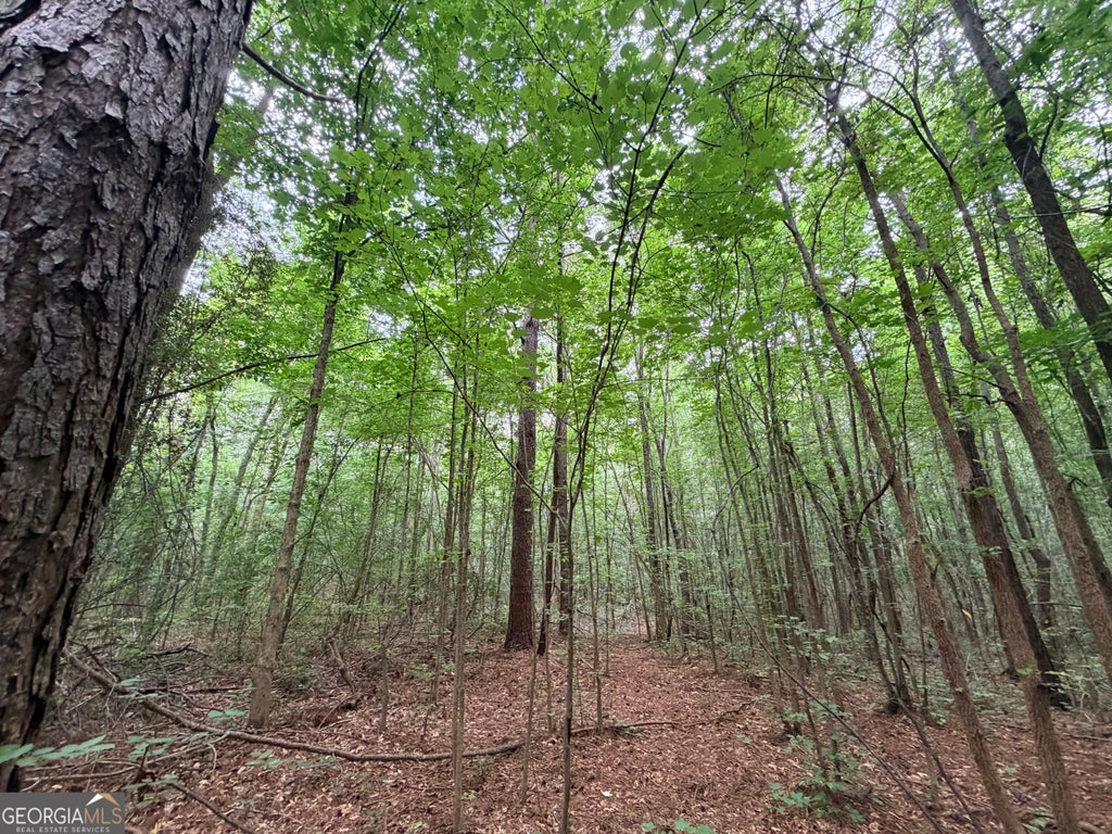 Photo of 1 Norwood Road, Hull, GA 30646 (MLS # 10815924)