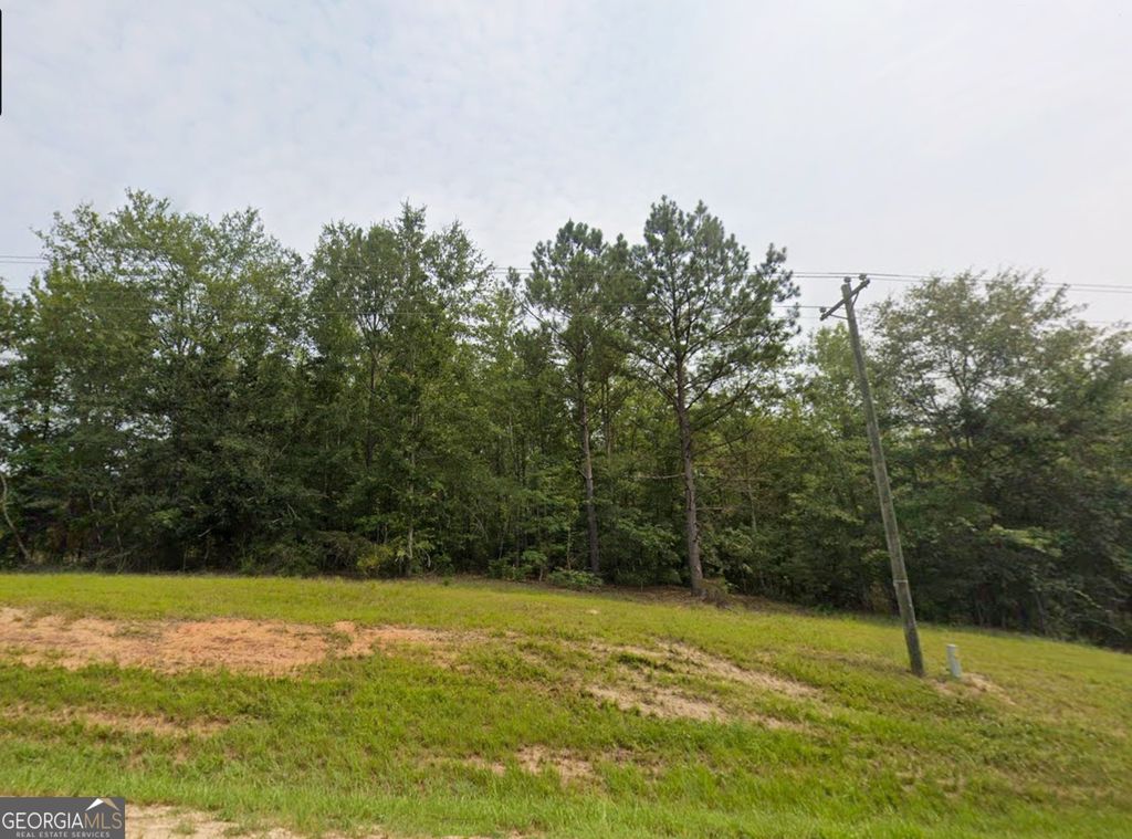 Photo of 12 E Old Wire Road, Butler, GA 31006 (MLS # 10715558)