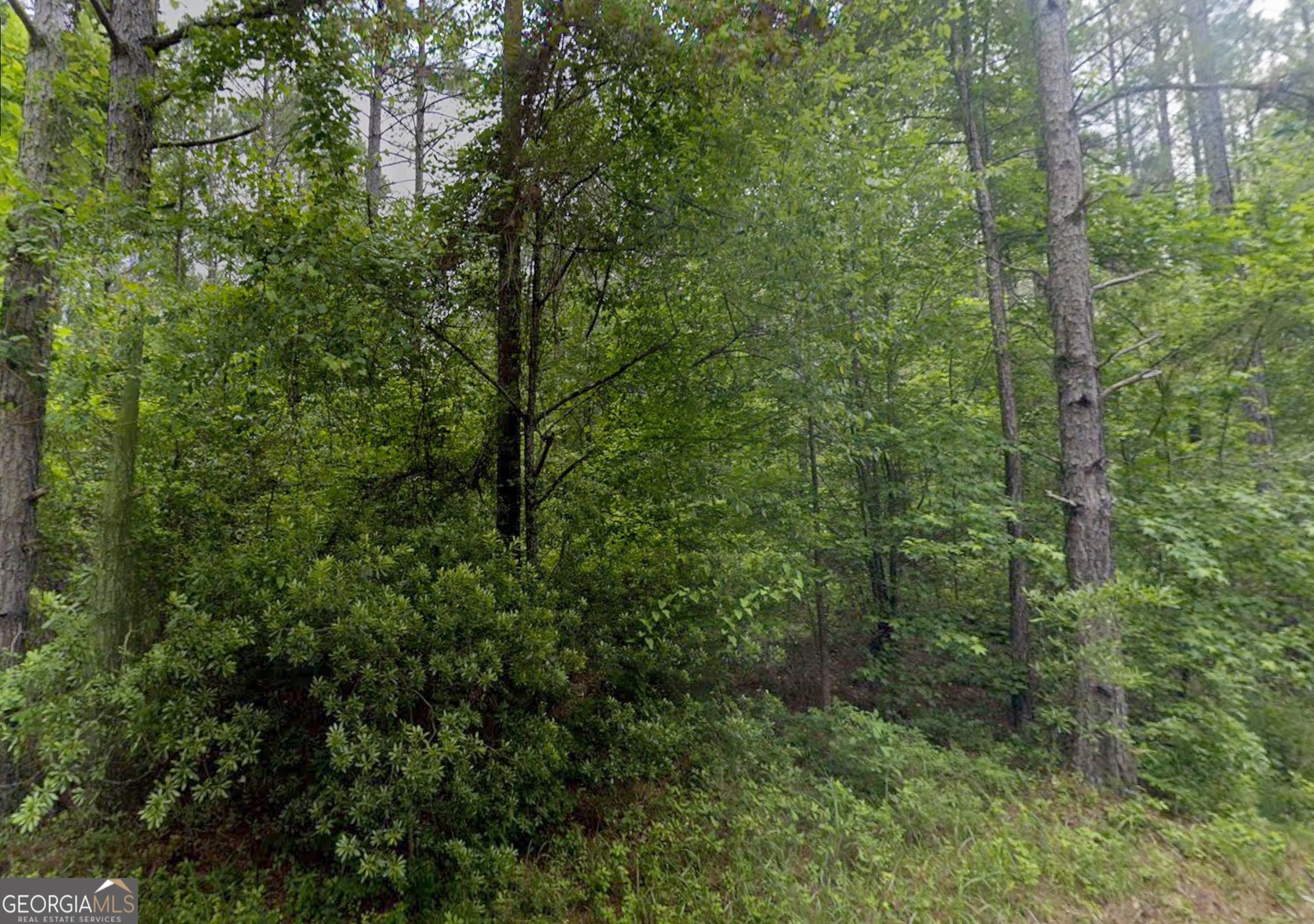 LOT 12 E Old Wire RD