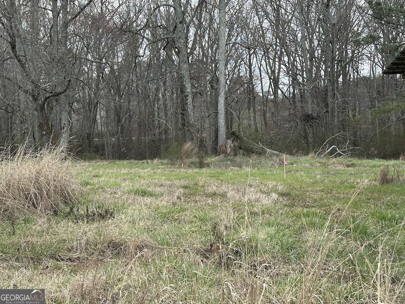 0 Bowdon Tyus Road - 7.08 Acres TRACT 2
