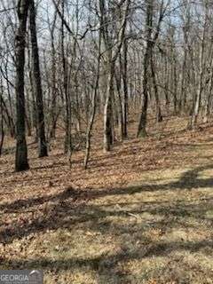 0 Burnt Mountain Ridge RD