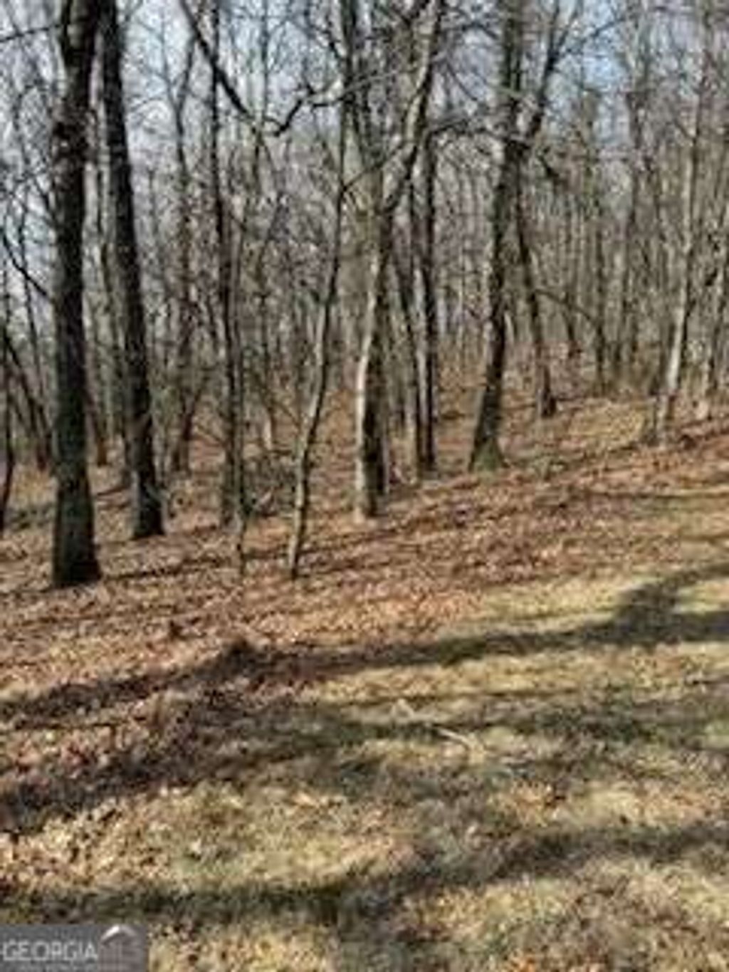 Photo of 00 Burnt Mountain Ridge Road, Jasper, GA 30143 (MLS # 10711910)