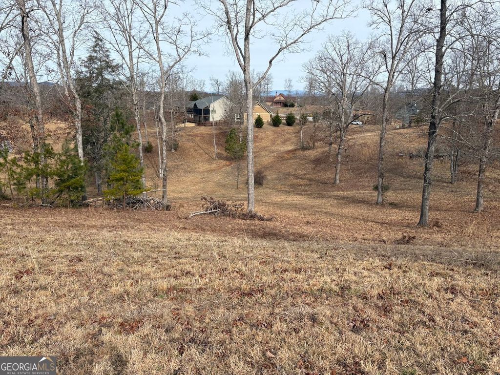 Photo of 29 Hogue Way, Blairsville, GA 30512 (MLS # 10682501)