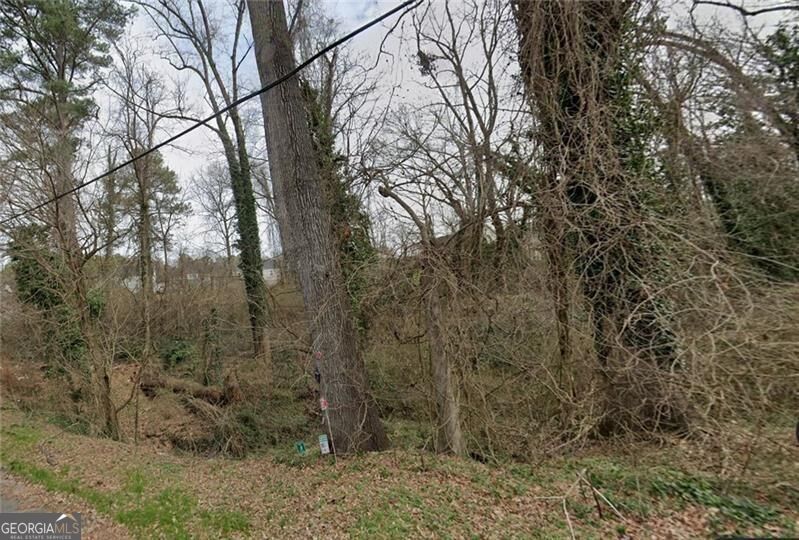Photo of 0 Lumpkin Street, East Point, GA 30344 (MLS # 10838589)