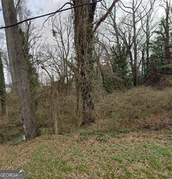 Photo of 0 Lumpkin Street, East Point, GA 30344 (MLS # 10838589)