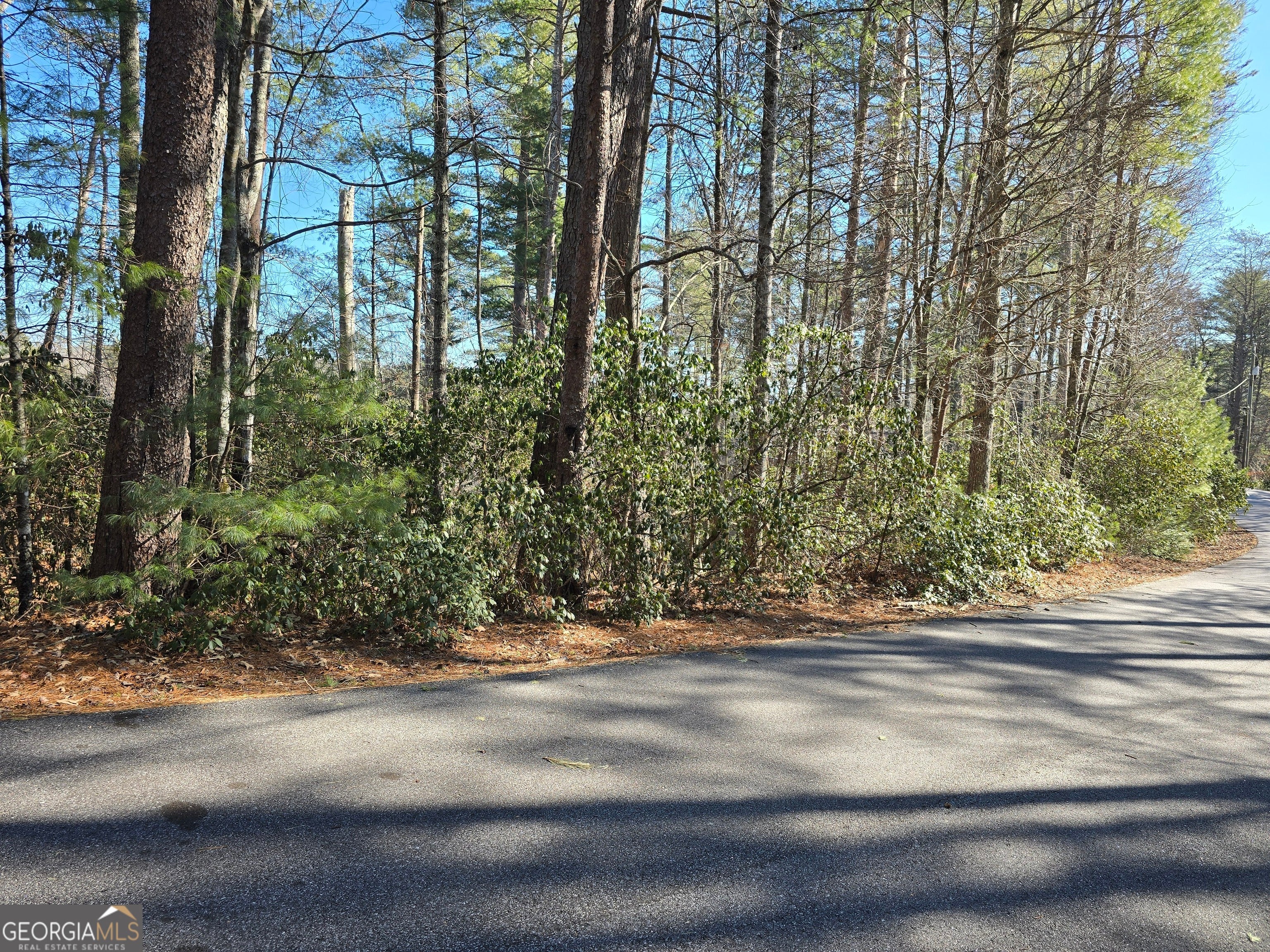 45K Blue Ridge