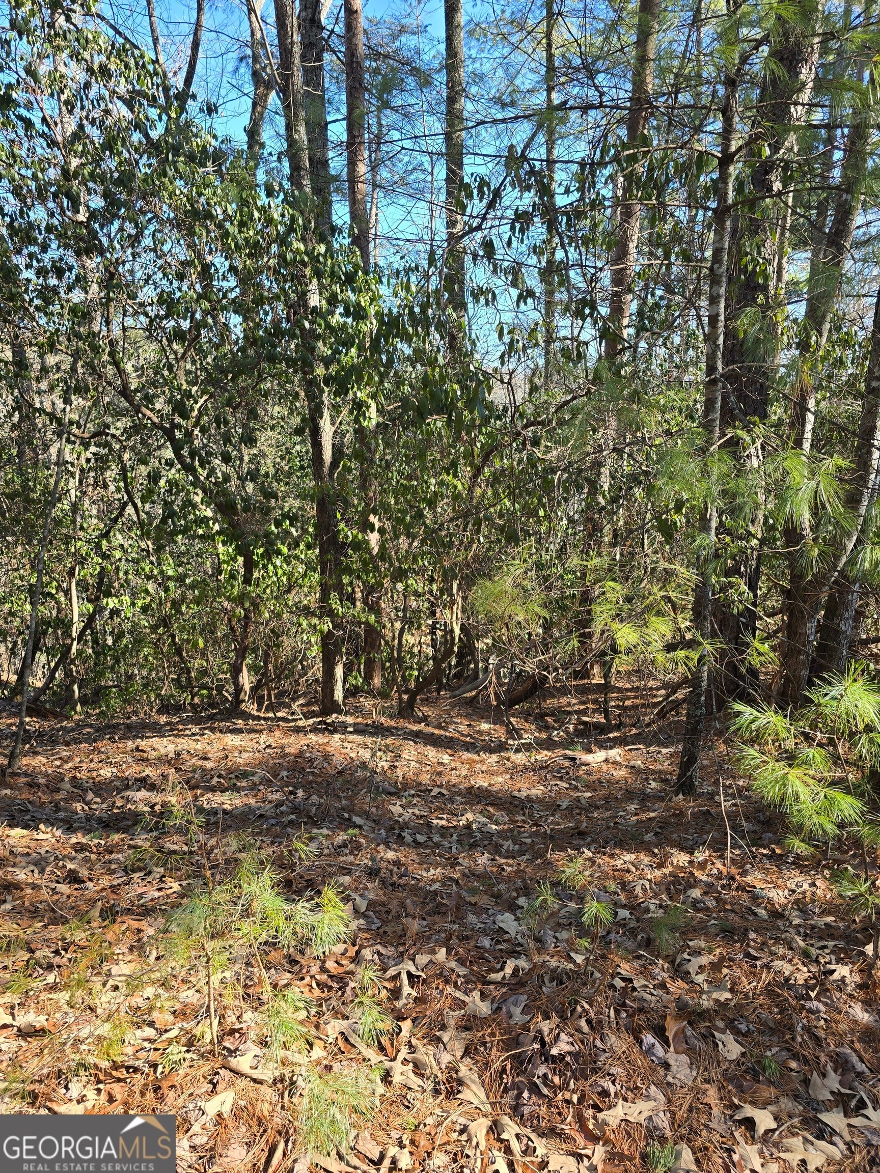 45K Blue Ridge