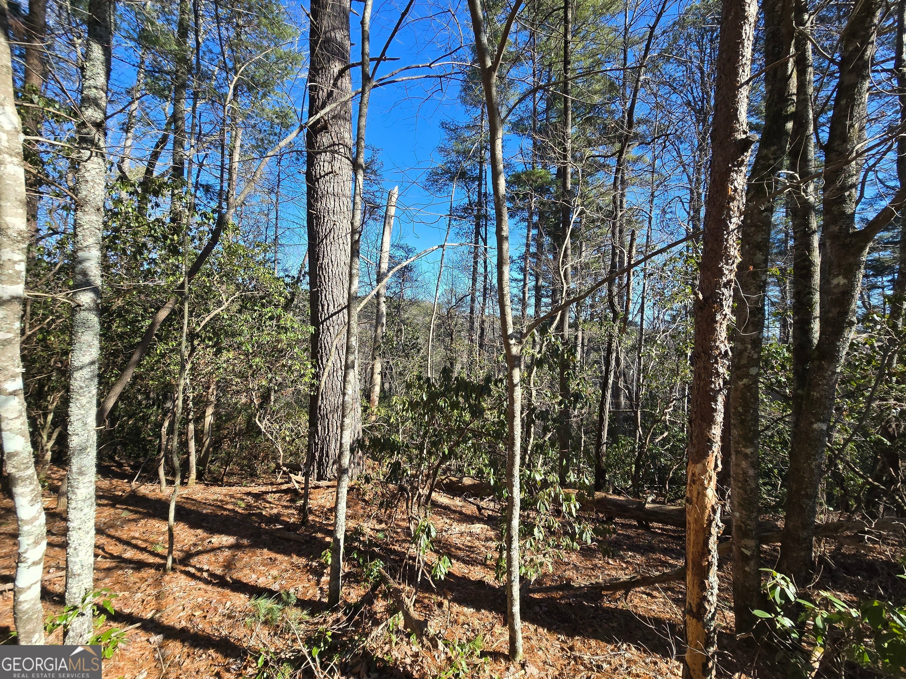 45K Blue Ridge