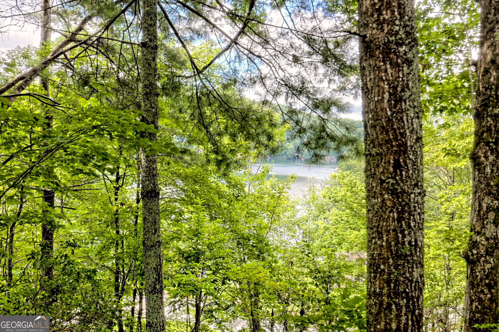 Clayton, Georgia 30525, United States, 4 Bedrooms Bedrooms, ,5 BathroomsBathrooms,Residential,Active,197178