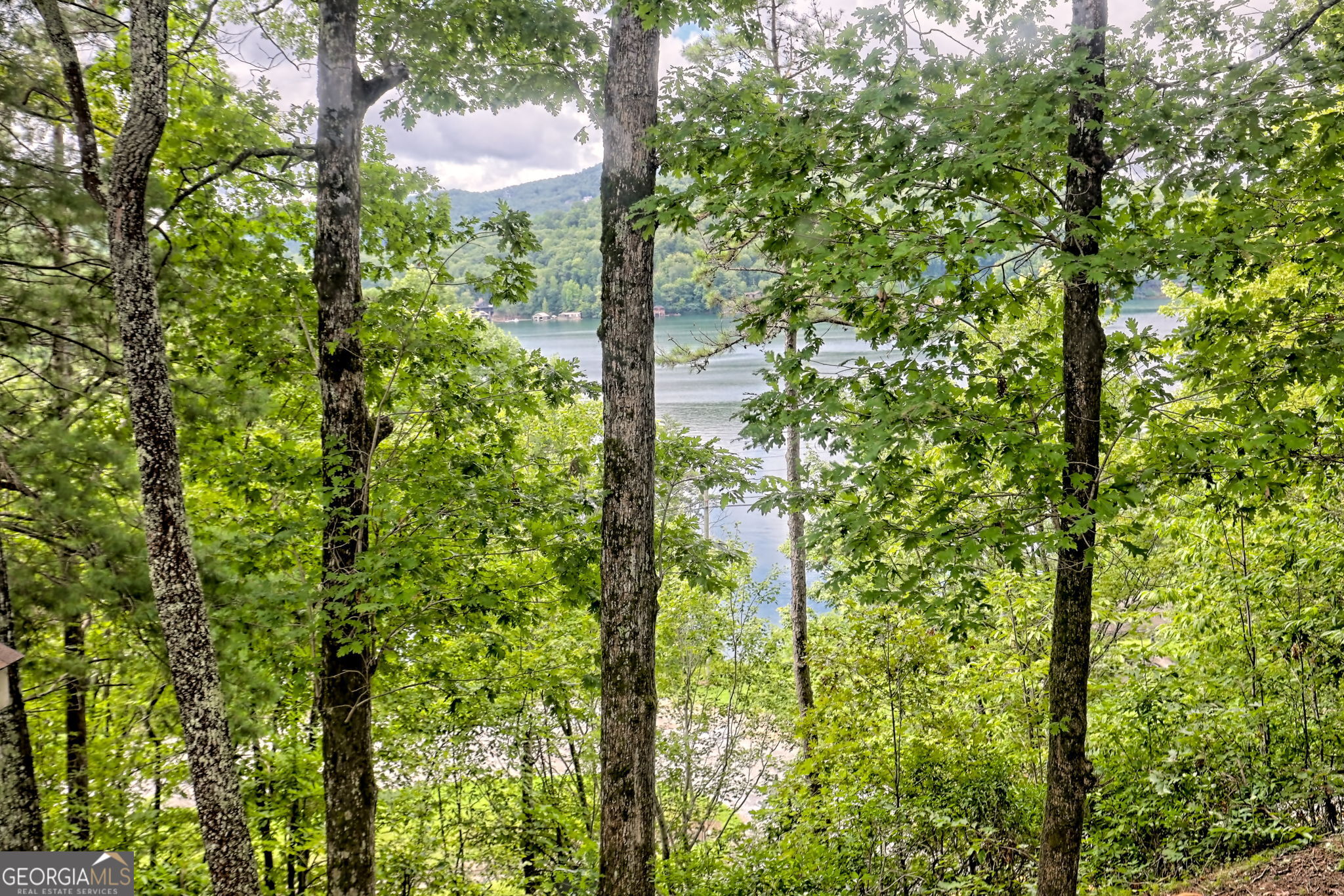 Clayton, Georgia 30525, United States, 4 Bedrooms Bedrooms, ,5 BathroomsBathrooms,Residential,Active,197178