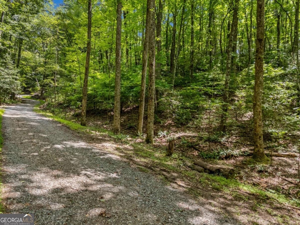 Photo of 0 Jagger Run, Blue Ridge, GA 30513 (MLS # 10854185)