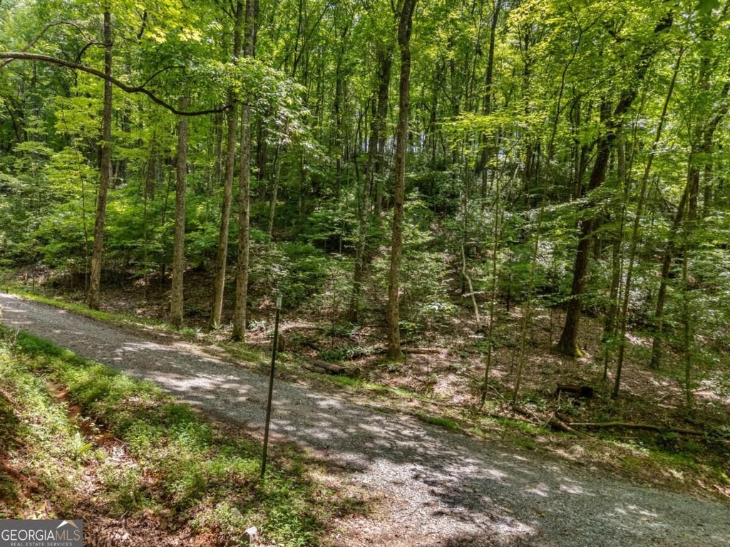 Photo of 0 Jagger Run, Blue Ridge, GA 30513 (MLS # 10854185)