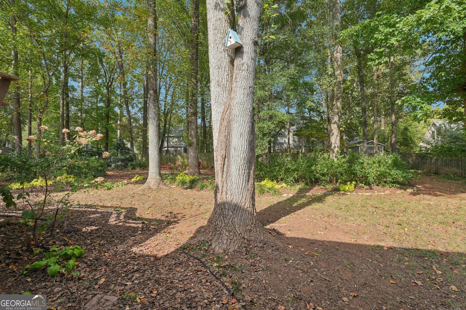 FOREST CHASE - Residential