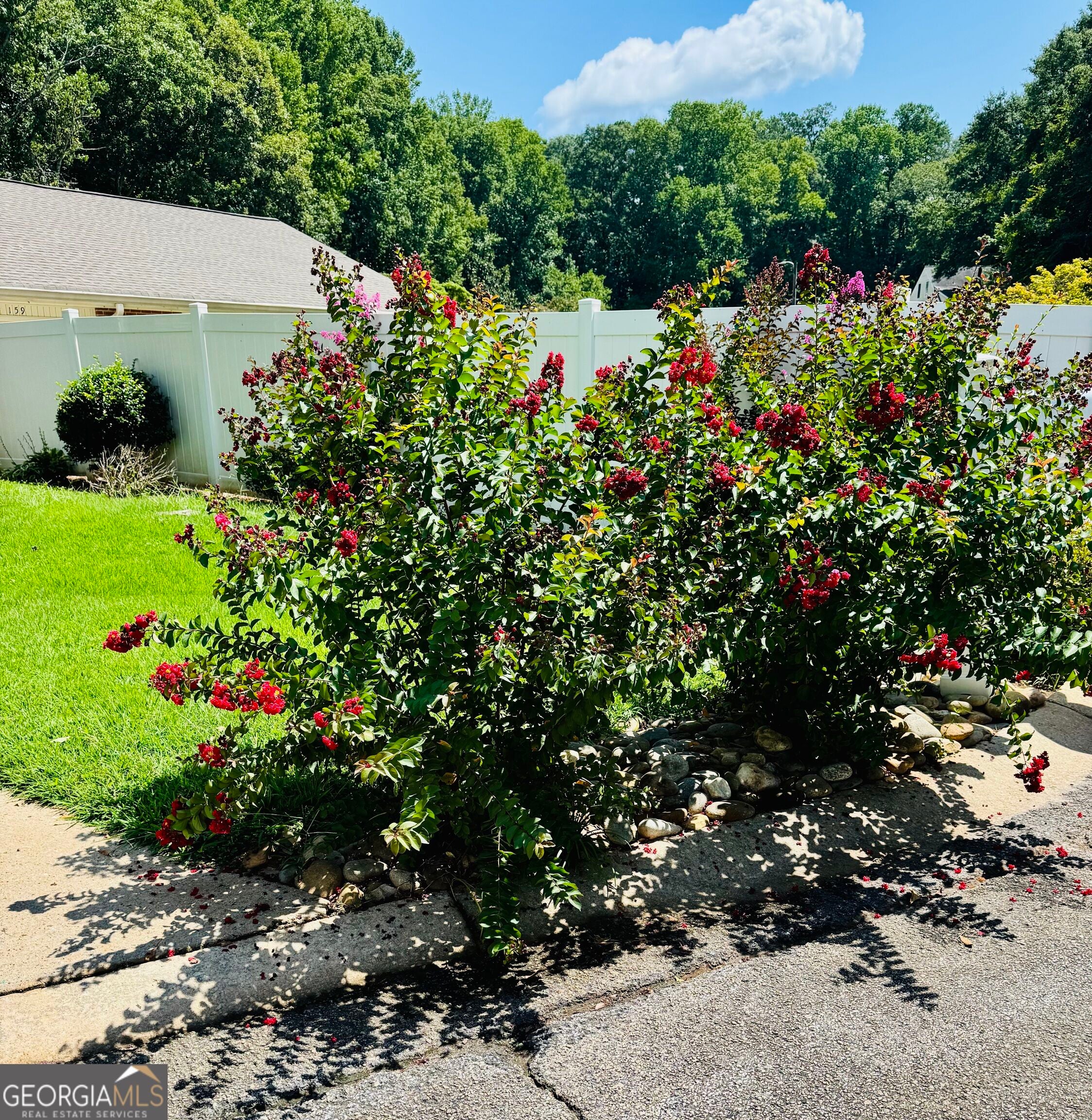 161 Wrenwood LN