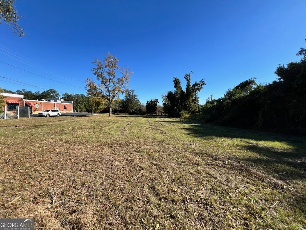 Photo of 72312 S Main Street, Statesboro, GA 30458 (MLS # 10666153)