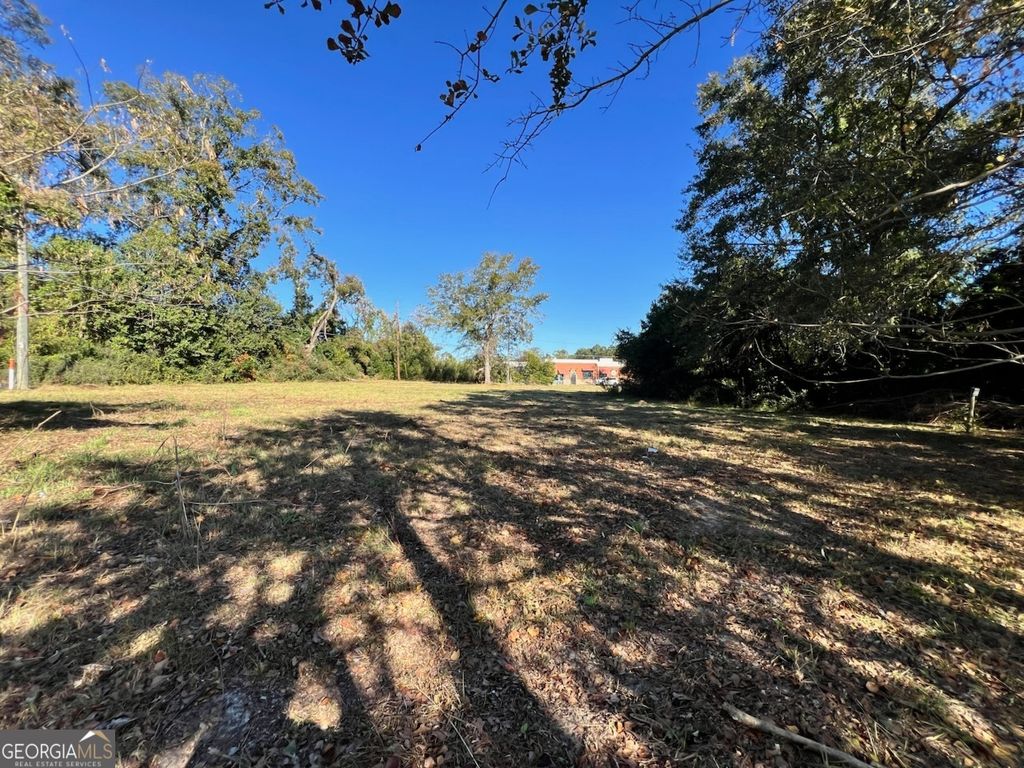 Photo of 72312 S Main Street, Statesboro, GA 30458 (MLS # 10666153)