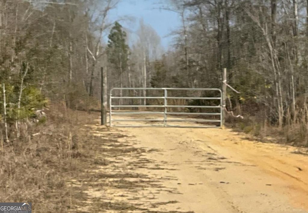 Photo of 0 Luther Surrency Rd, Baxley, GA 31513 (MLS # 10662467)