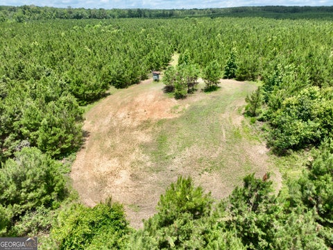 Photo of 0 Everett Wood Road, Ideal, GA 31041 (MLS # 10808841)
